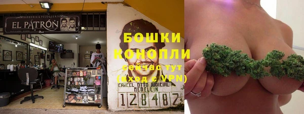 первитин Инсар