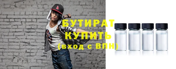 прущие грибы Каменногорск