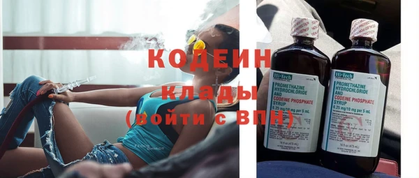 первитин Инсар