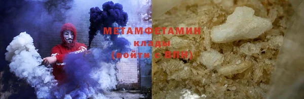 прущие грибы Каменногорск