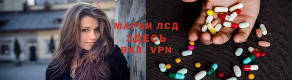 гидропоника Иннополис