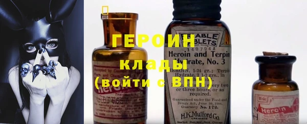 прущие грибы Каменногорск