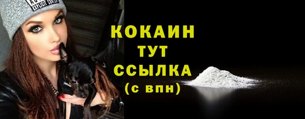 гидропоника Иннополис
