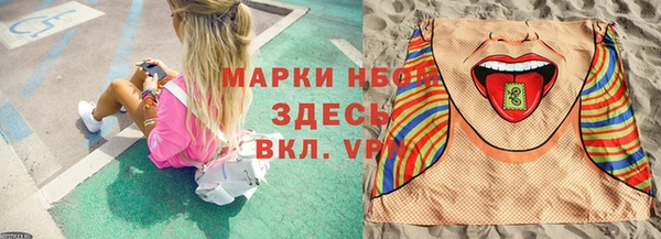 СК Инта