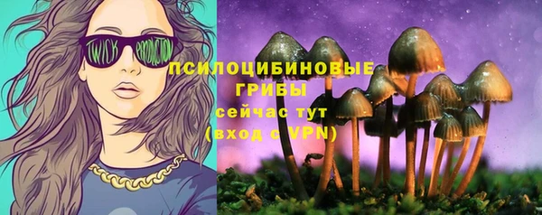 СК Инта