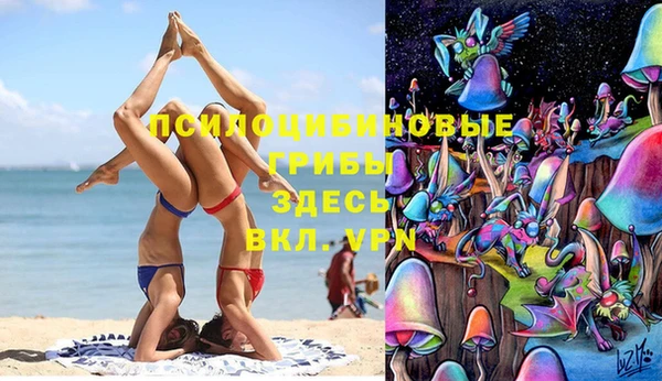 гидропоника Иннополис